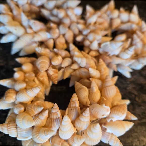 Sea Shell Napkin Rings x 3 - Picture 5 of 6